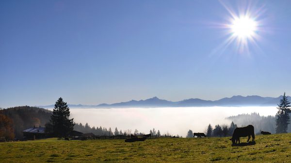 Gemeinsame Wanderung auf den Taubenberg – stärke deine innere Haltung